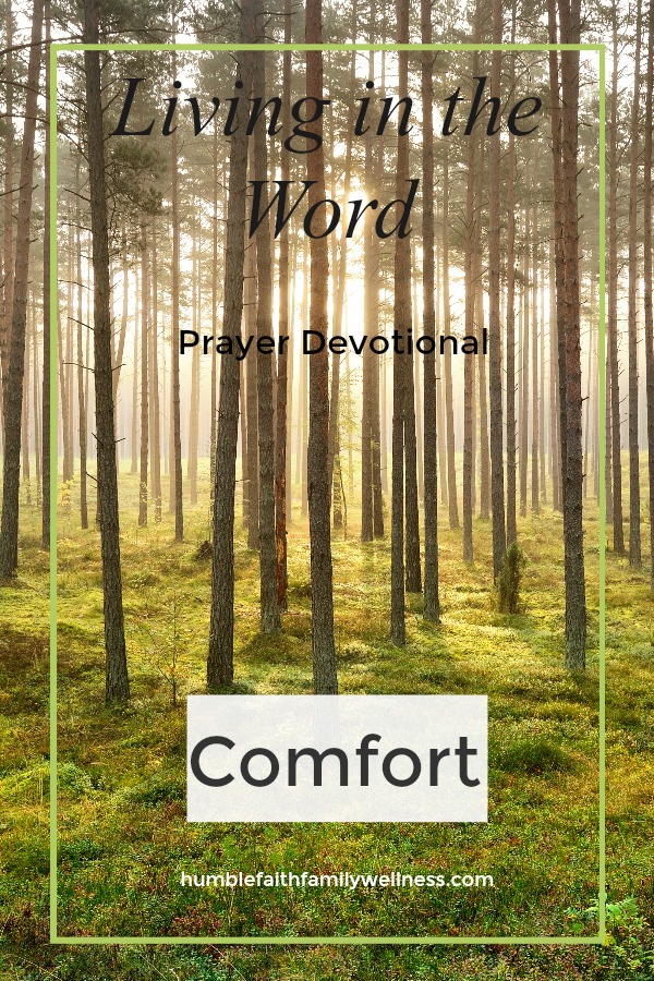 Comfort, Prayer Devotional