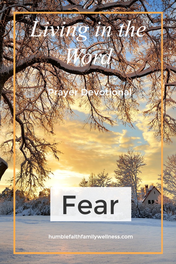 Fear, Prayer Devotional, Faith